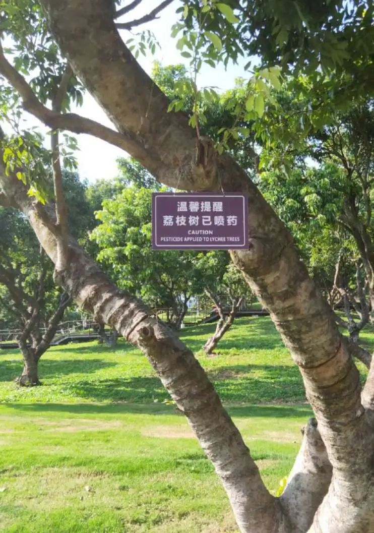 1606905522414518.png
