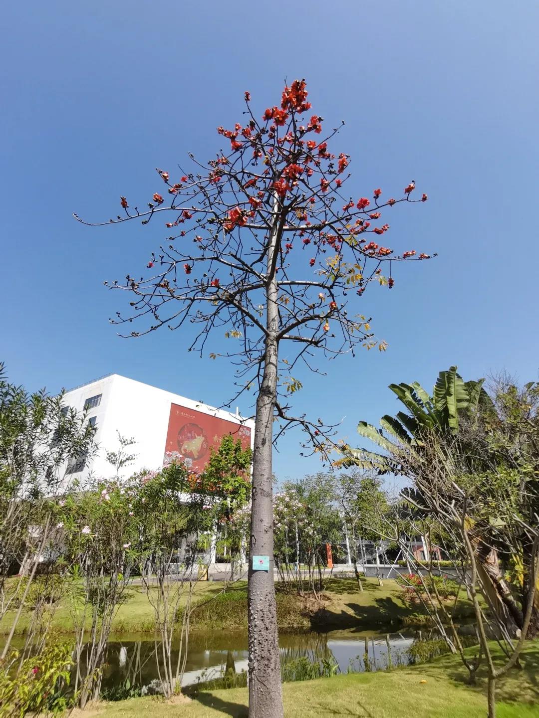 1617766883515551.jpg 微信图片_20210407112842.jpg